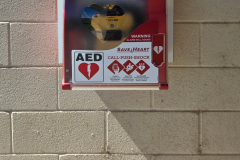 SaveHeart-Sunnyside_3