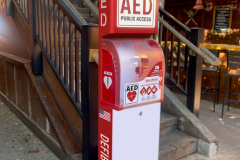 SaveHeart-Gen2-Tower_LivePhoto-2