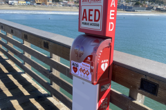 SaveHeart-Gen2-Tower_LivePhoto-3